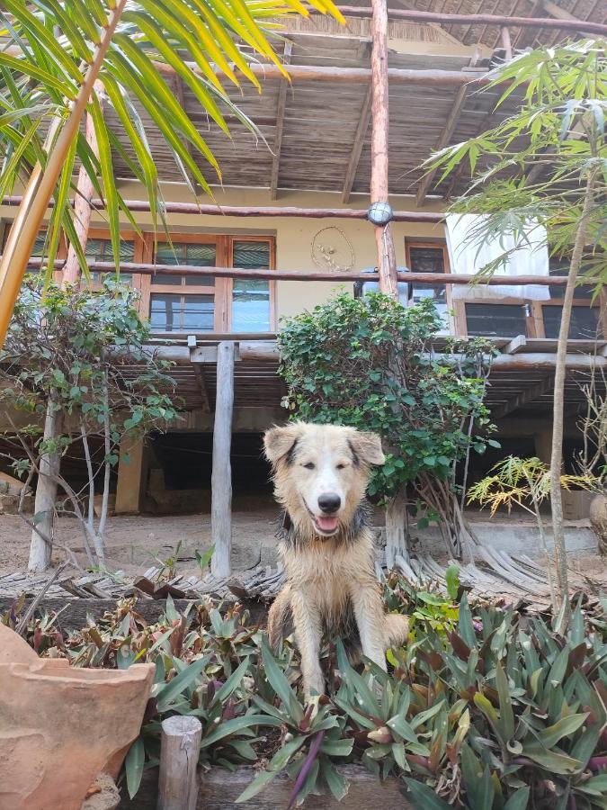 Casa Surf Lodge - Praia do Tofo Dış mekan fotoğraf